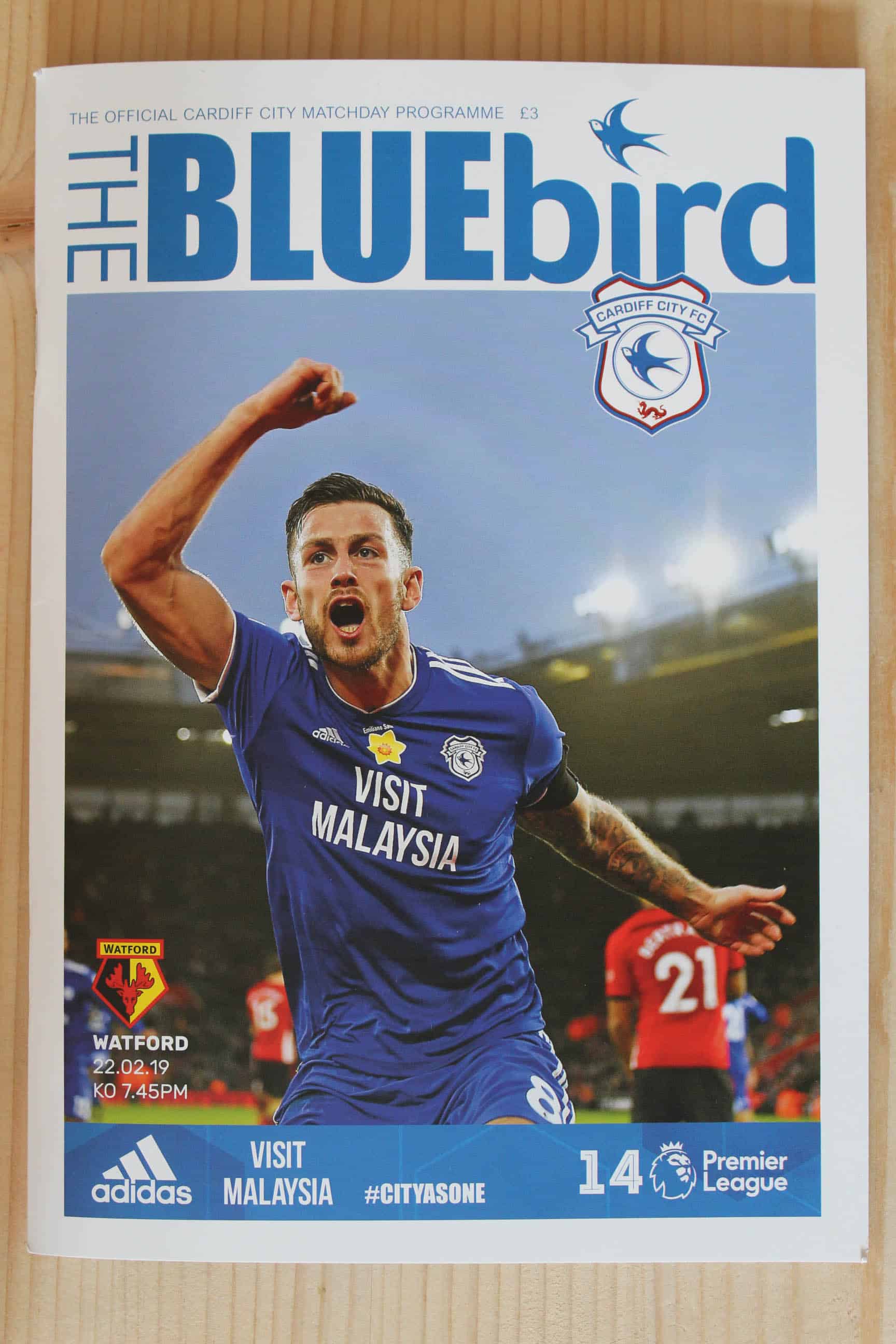 Cardiff City FC v Watford FC